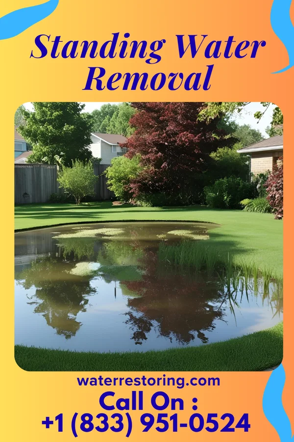 Standing Water Removal in East Syracuse, NY